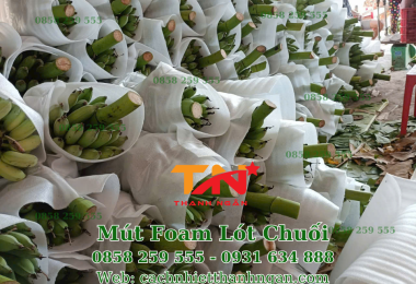 Mút Xốp Foam Lót Chuối Giá Rẻ - Cách nhiệt Thanh Ngân